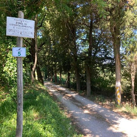 Le Giuncaie - Vigna Con Alloggio Montescudaio Kültér fotó