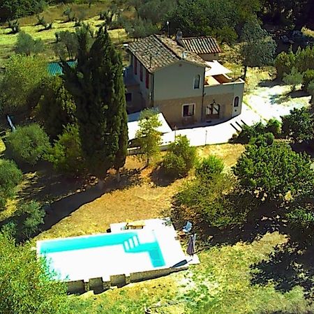 Le Giuncaie - Vigna Con Alloggio Montescudaio Kültér fotó