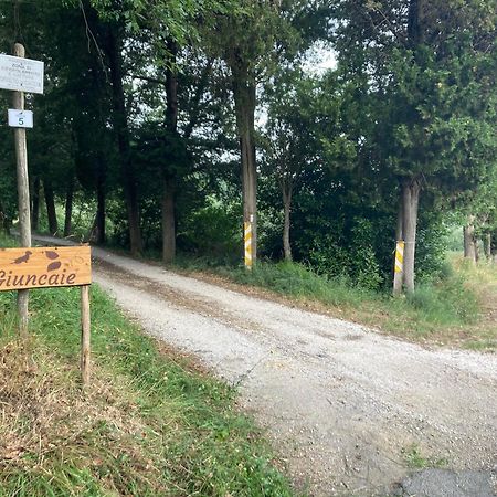Le Giuncaie - Vigna Con Alloggio Montescudaio Kültér fotó