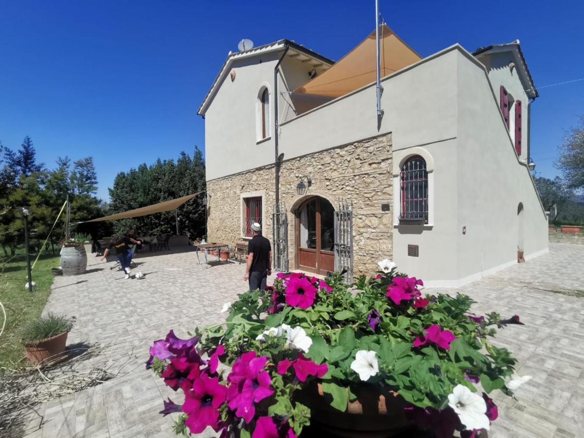 Le Giuncaie - Vigna Con Alloggio Montescudaio Kültér fotó