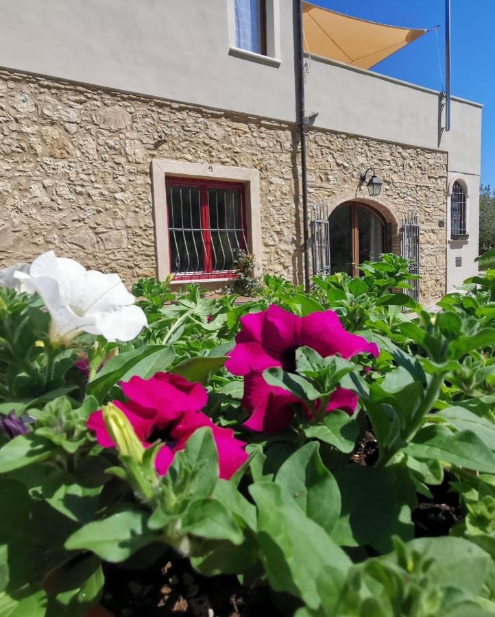 Le Giuncaie - Vigna Con Alloggio Montescudaio Kültér fotó
