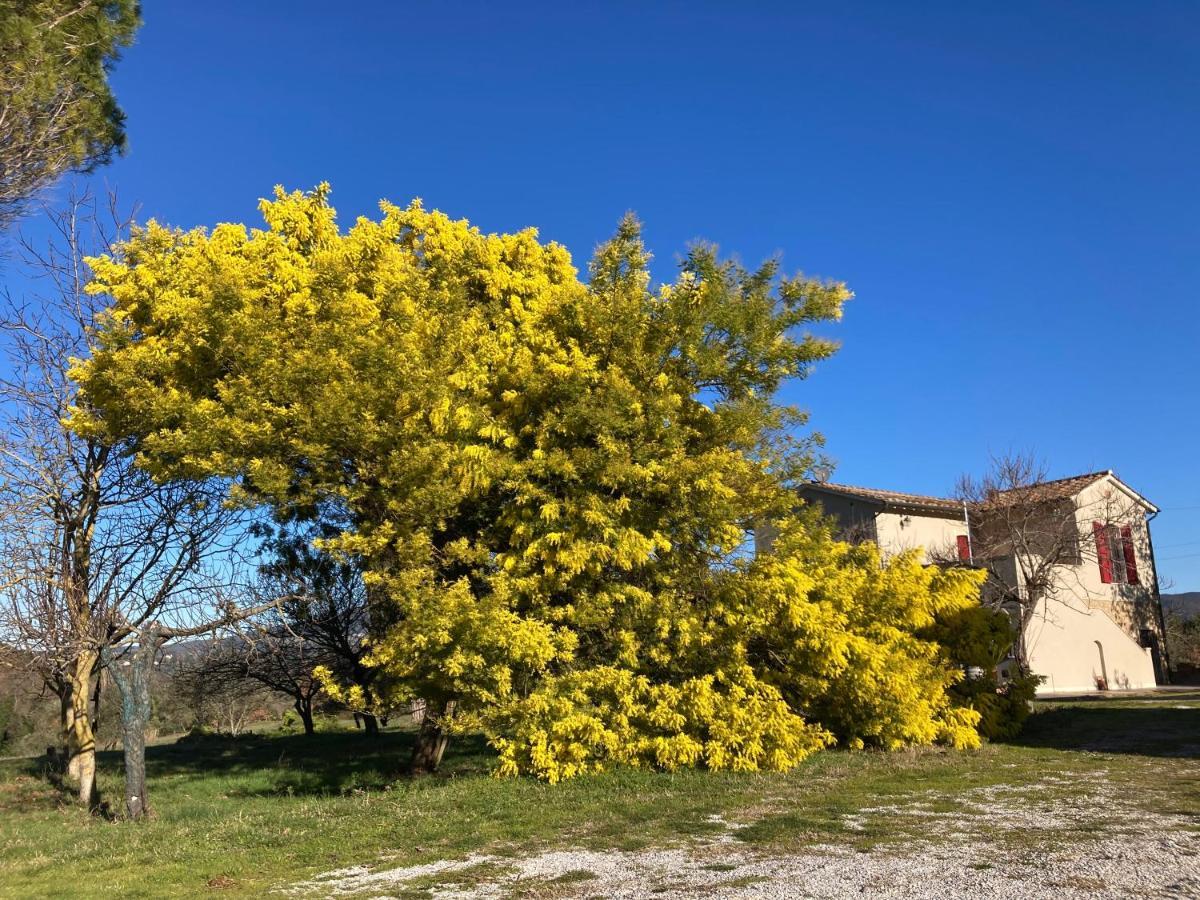 Le Giuncaie - Vigna Con Alloggio Montescudaio Kültér fotó