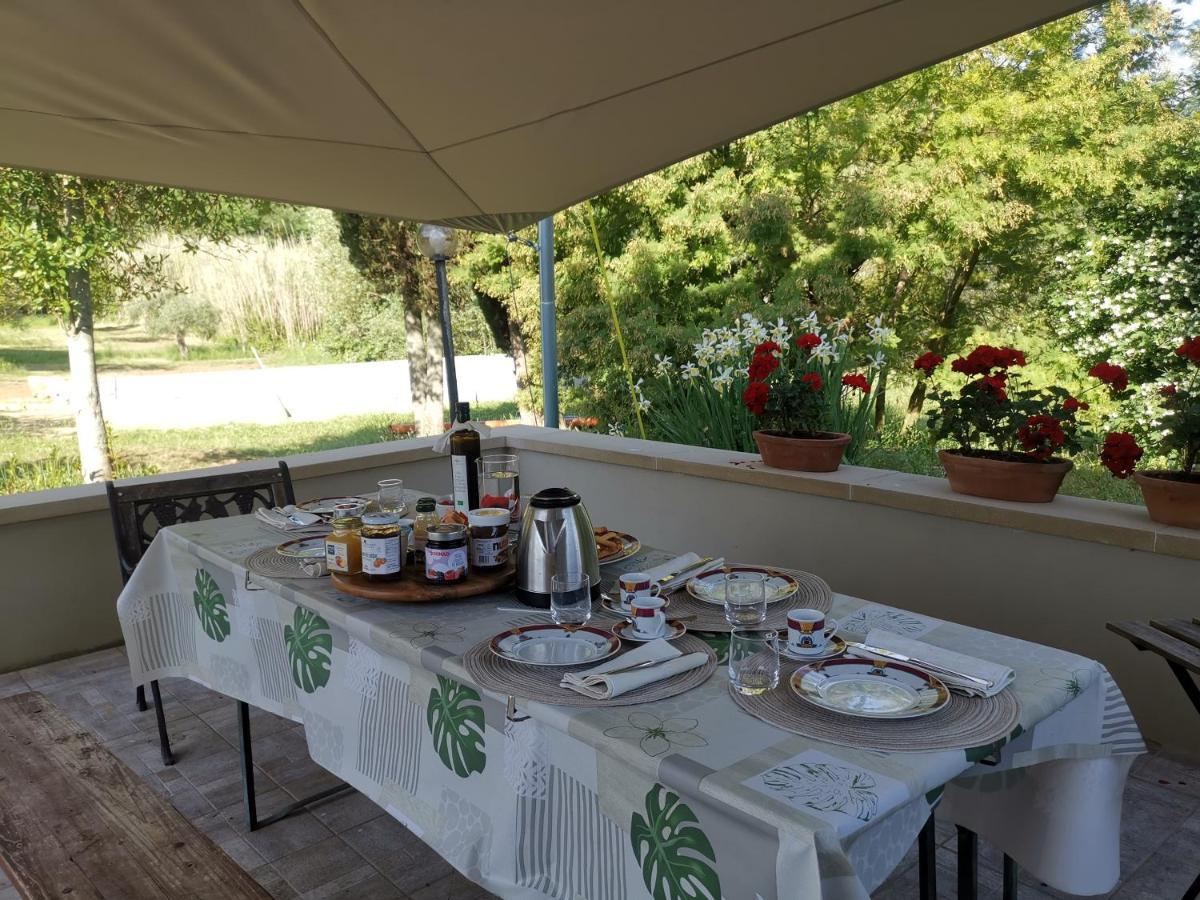 Le Giuncaie - Vigna Con Alloggio Montescudaio Kültér fotó