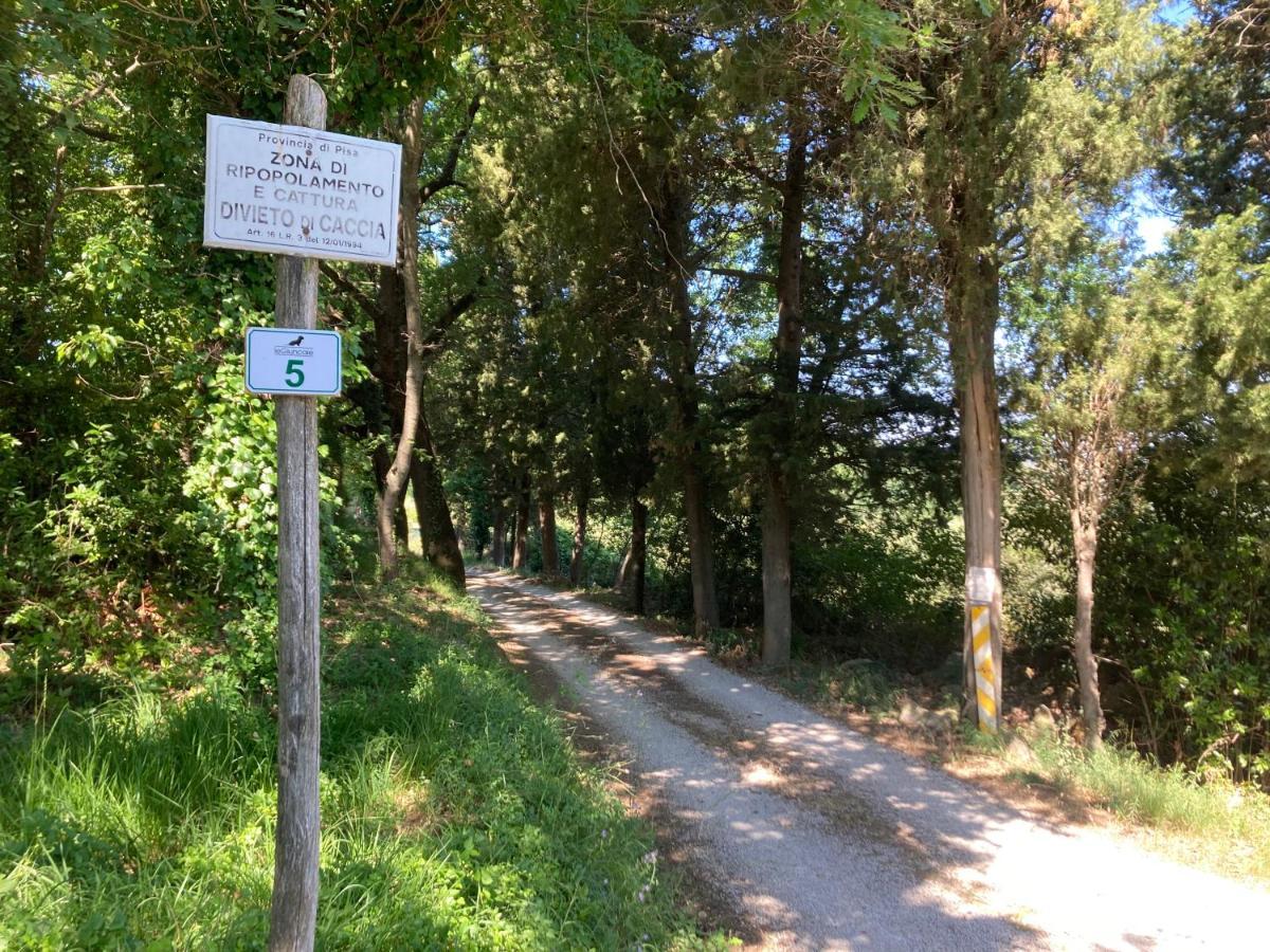 Le Giuncaie - Vigna Con Alloggio Montescudaio Kültér fotó