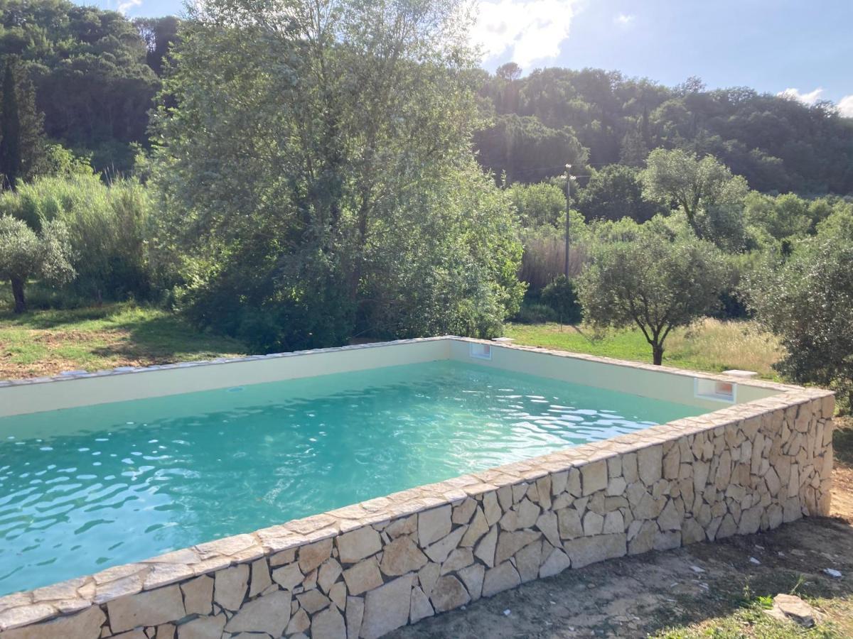 Le Giuncaie - Vigna Con Alloggio Montescudaio Kültér fotó