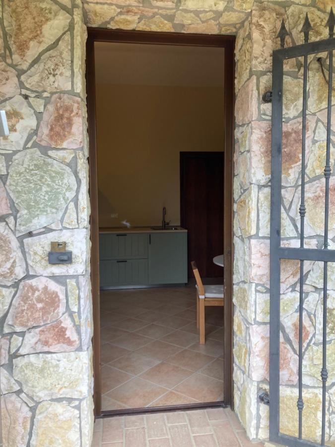 Le Giuncaie - Vigna Con Alloggio Montescudaio Kültér fotó
