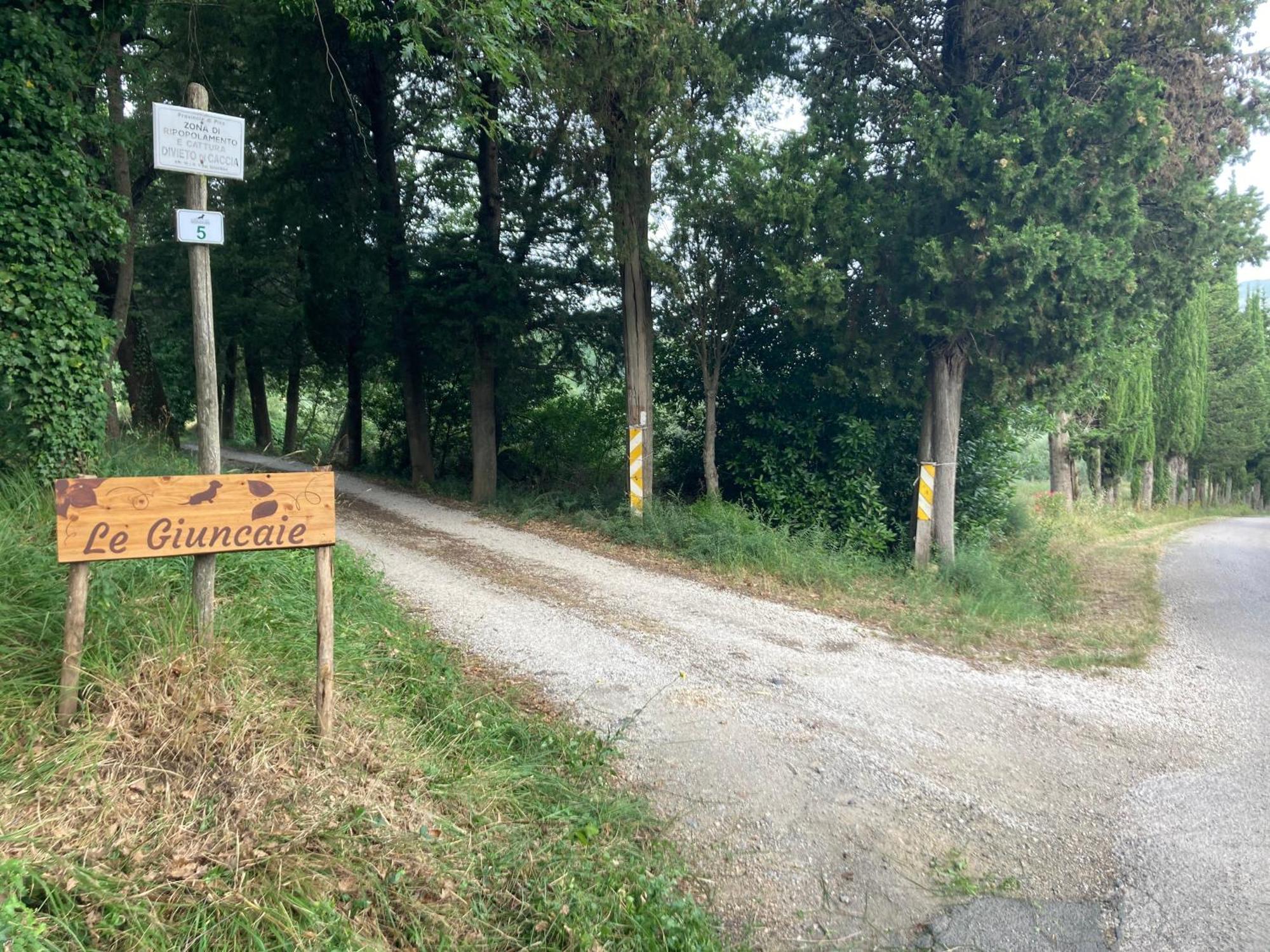 Le Giuncaie - Vigna Con Alloggio Montescudaio Kültér fotó